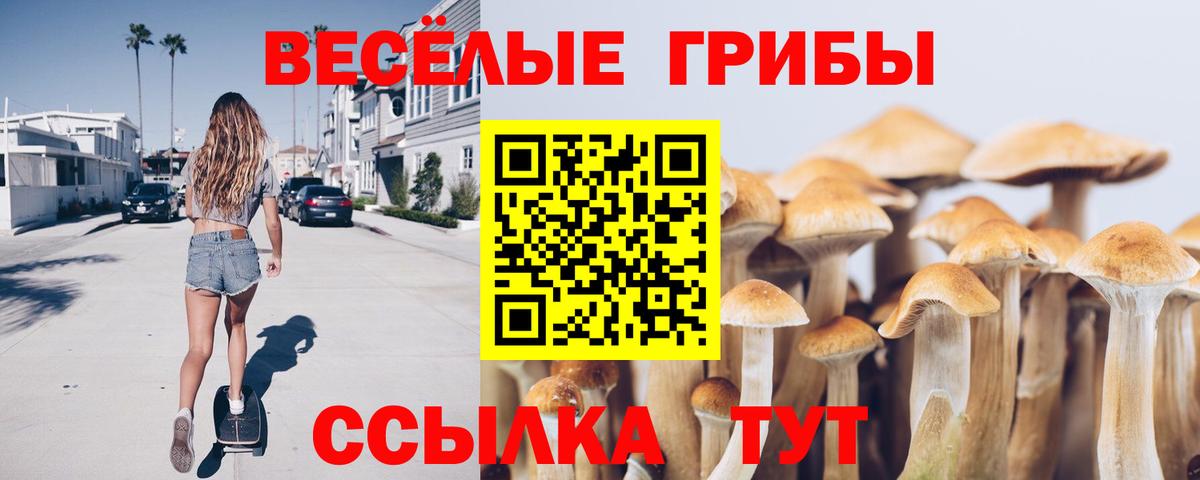 Псилоцибиновые грибы мухоморы Сызрань
