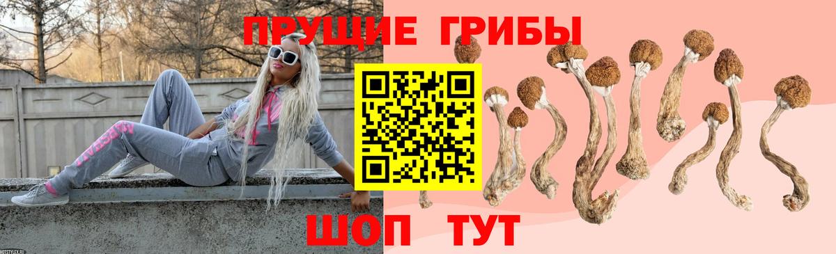 Галлюциногенные грибы мицелий  Псилоцибиновые грибы Cubensis  Вход с VPN  Сызрань 